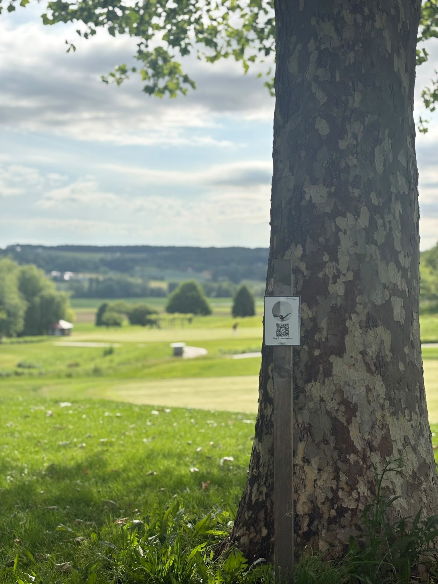 Golfplatz