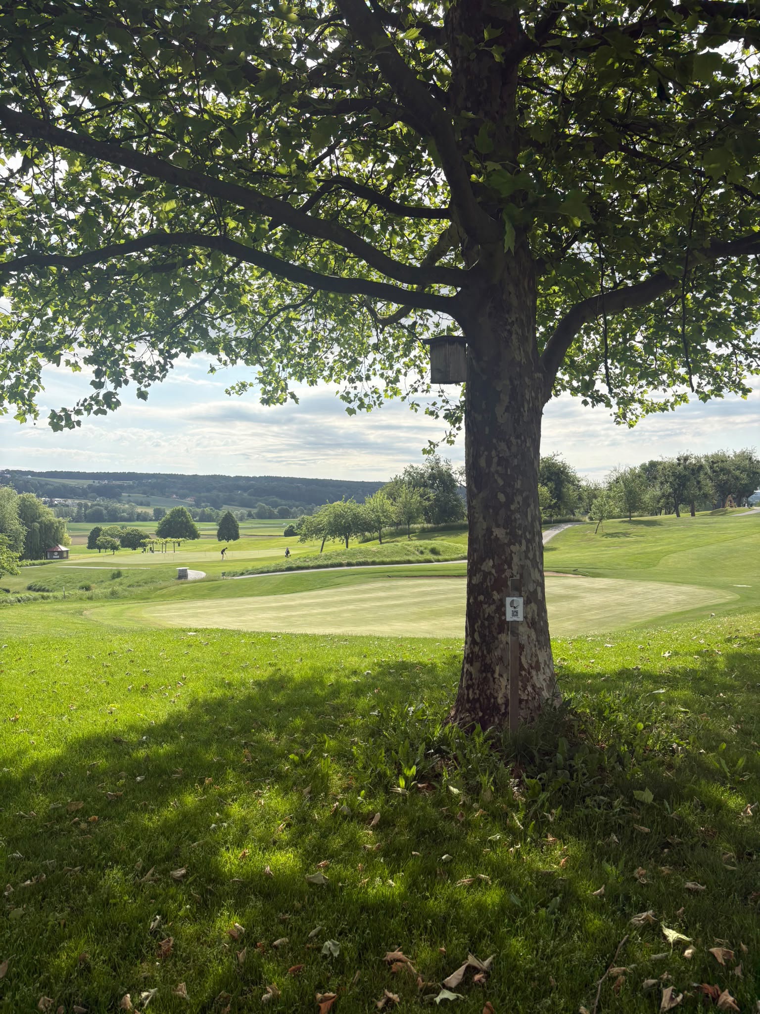 Teamchallenge Station mit Blick über den Golfpatz